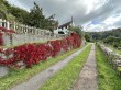 Tuttors Hill, Cheddar