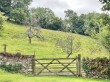 Wells Road, Rodney Stoke, Cheddar